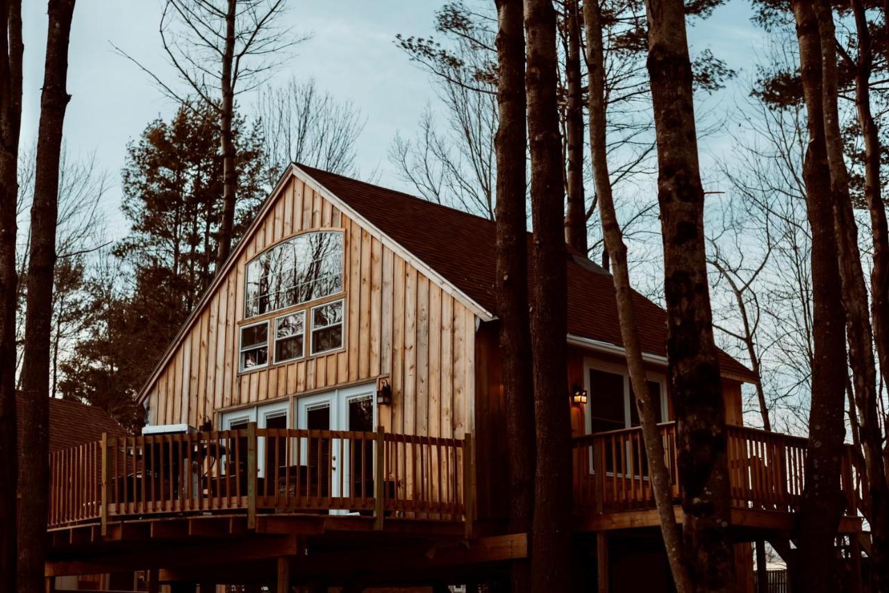 Skyview Treehouse Villa Belgrade Ngoại thất bức ảnh